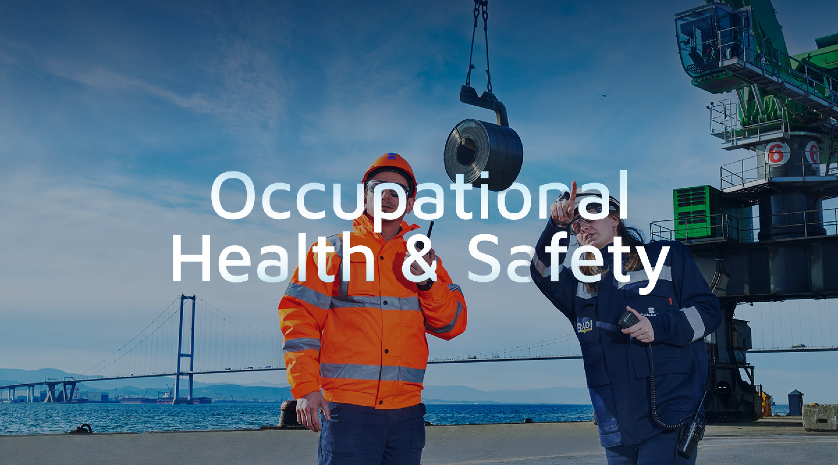 Occupational Health & Safety